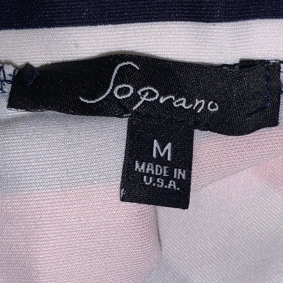 Navy, White, and Dusty Red Stripe Pleated Skirt - Picture 5 of 5